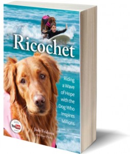 Ricochet-3d
